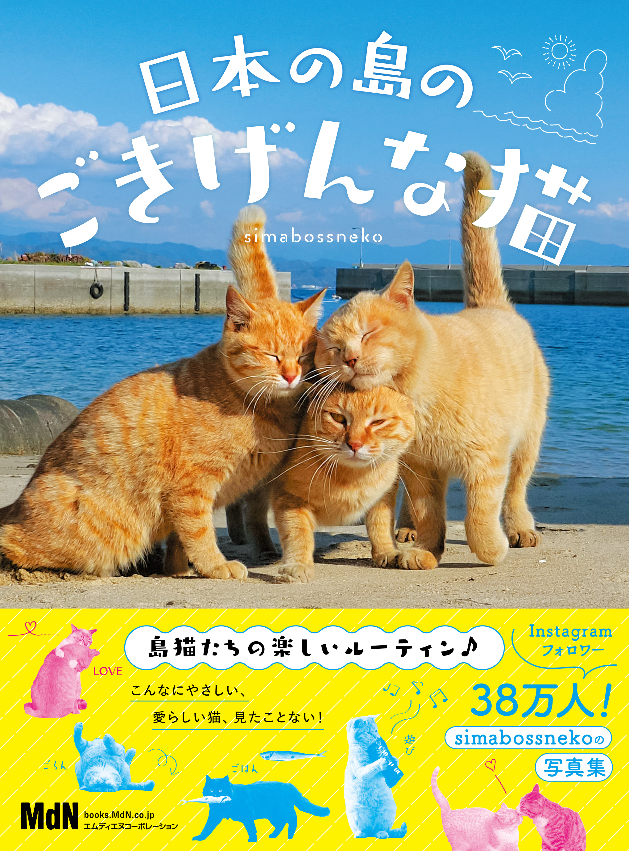 日本の島のごきげんな猫