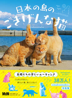 日本の島のごきげんな猫