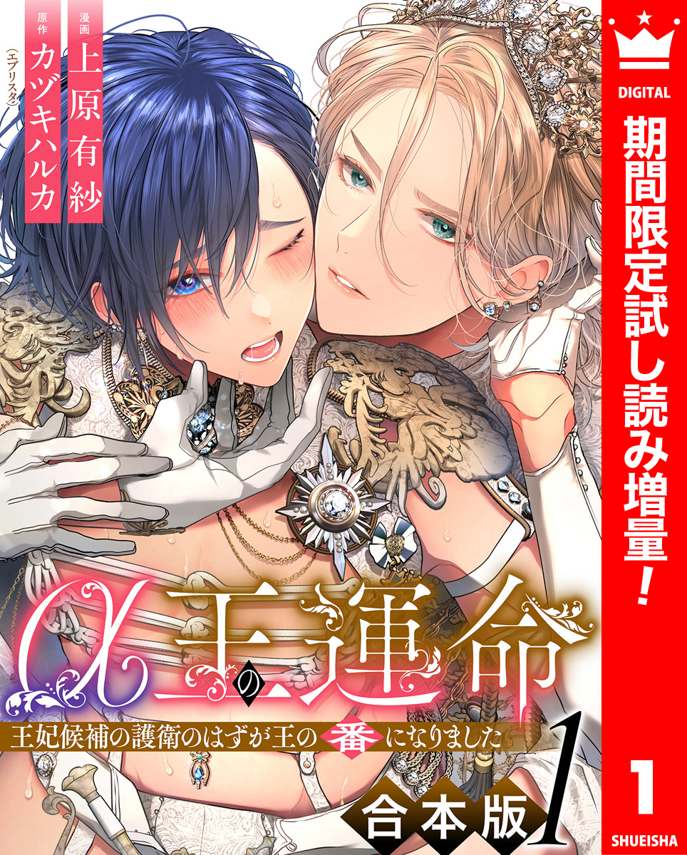 【合本版】α王の運命～王妃候補の護衛のはずが王の番になりました～【期間限定試し読み増量】 1