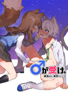 ♂が受け。ネコちゃん×ネコくん