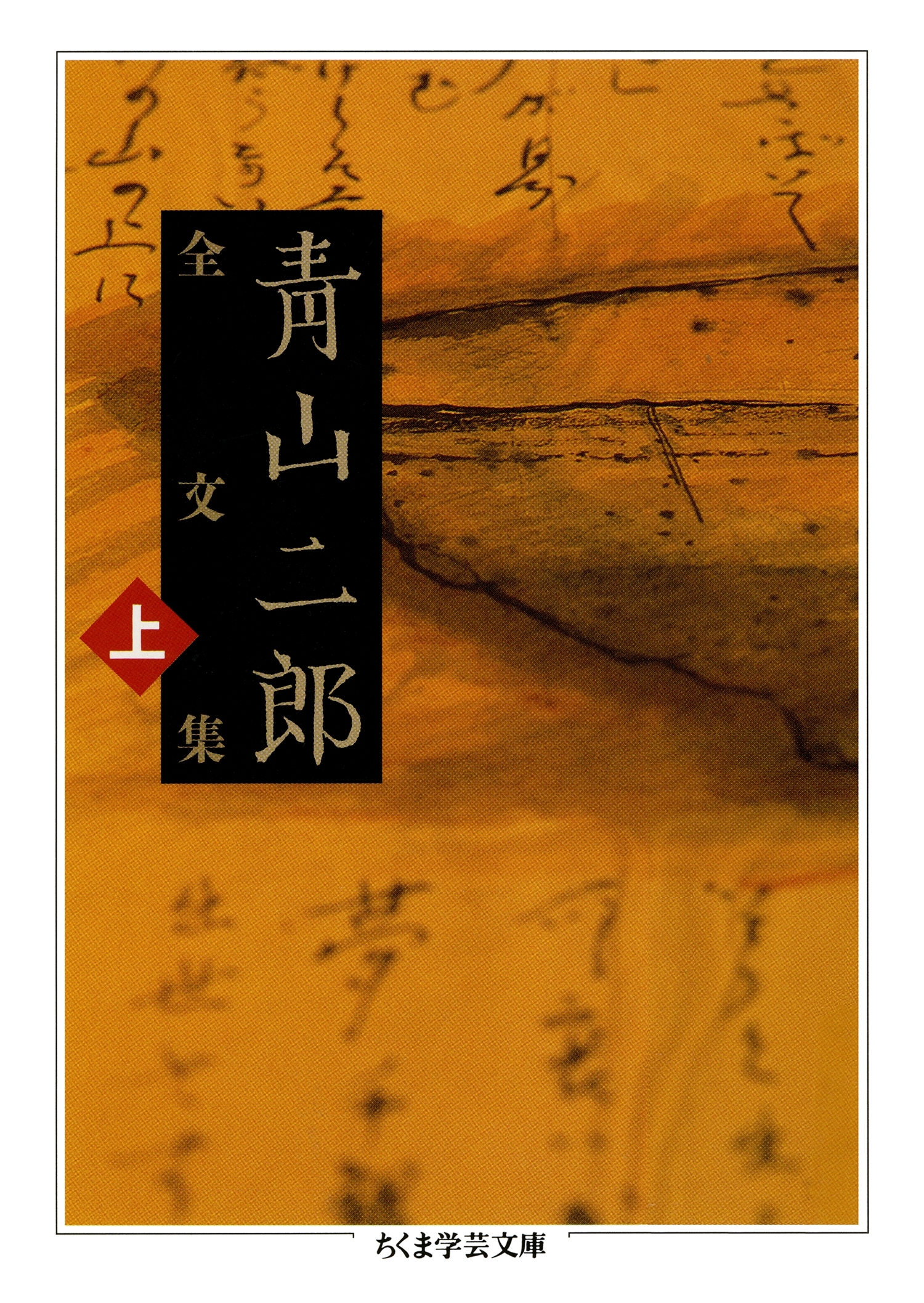 青山二郎全文集　上