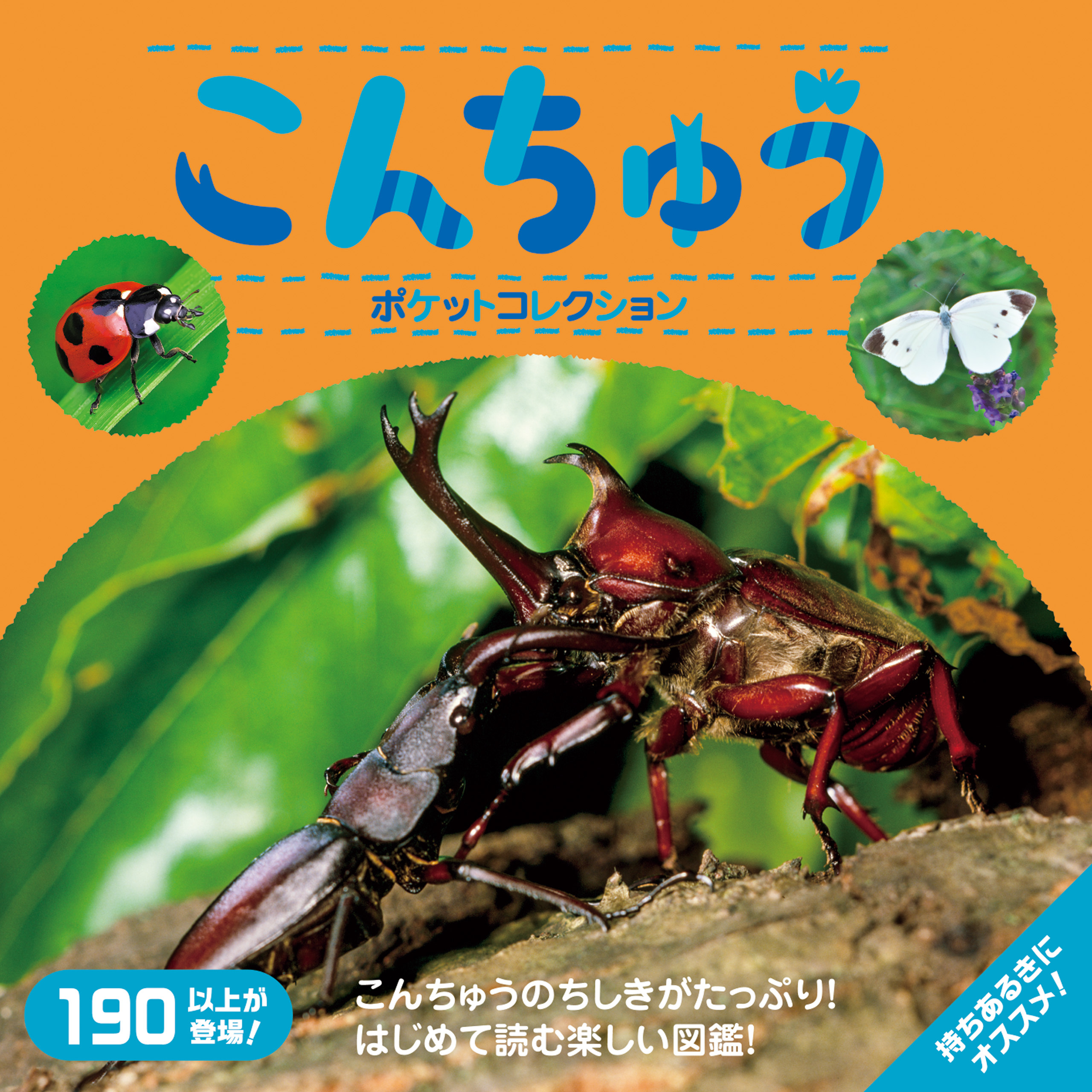 こんちゅうポケットコレクション