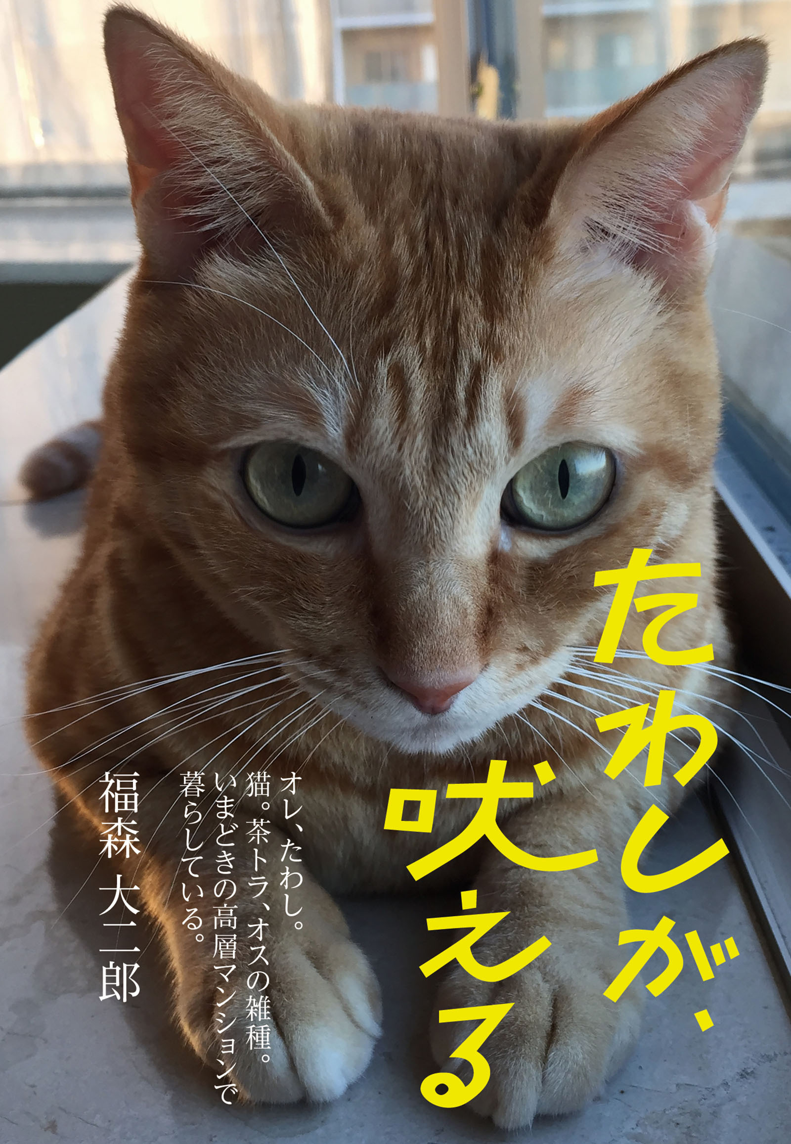 たわしが、吠える