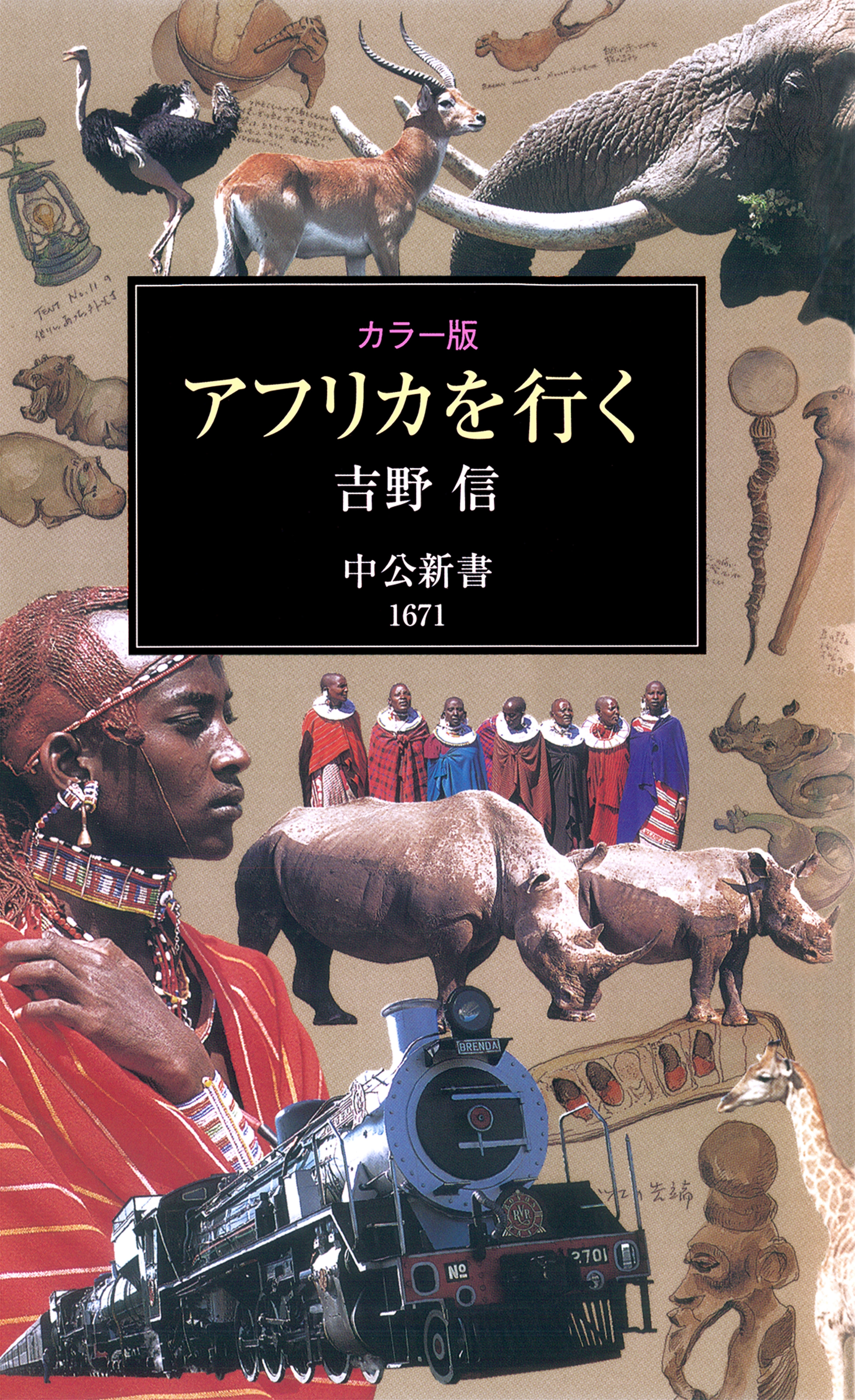 カラー版 アフリカを行く