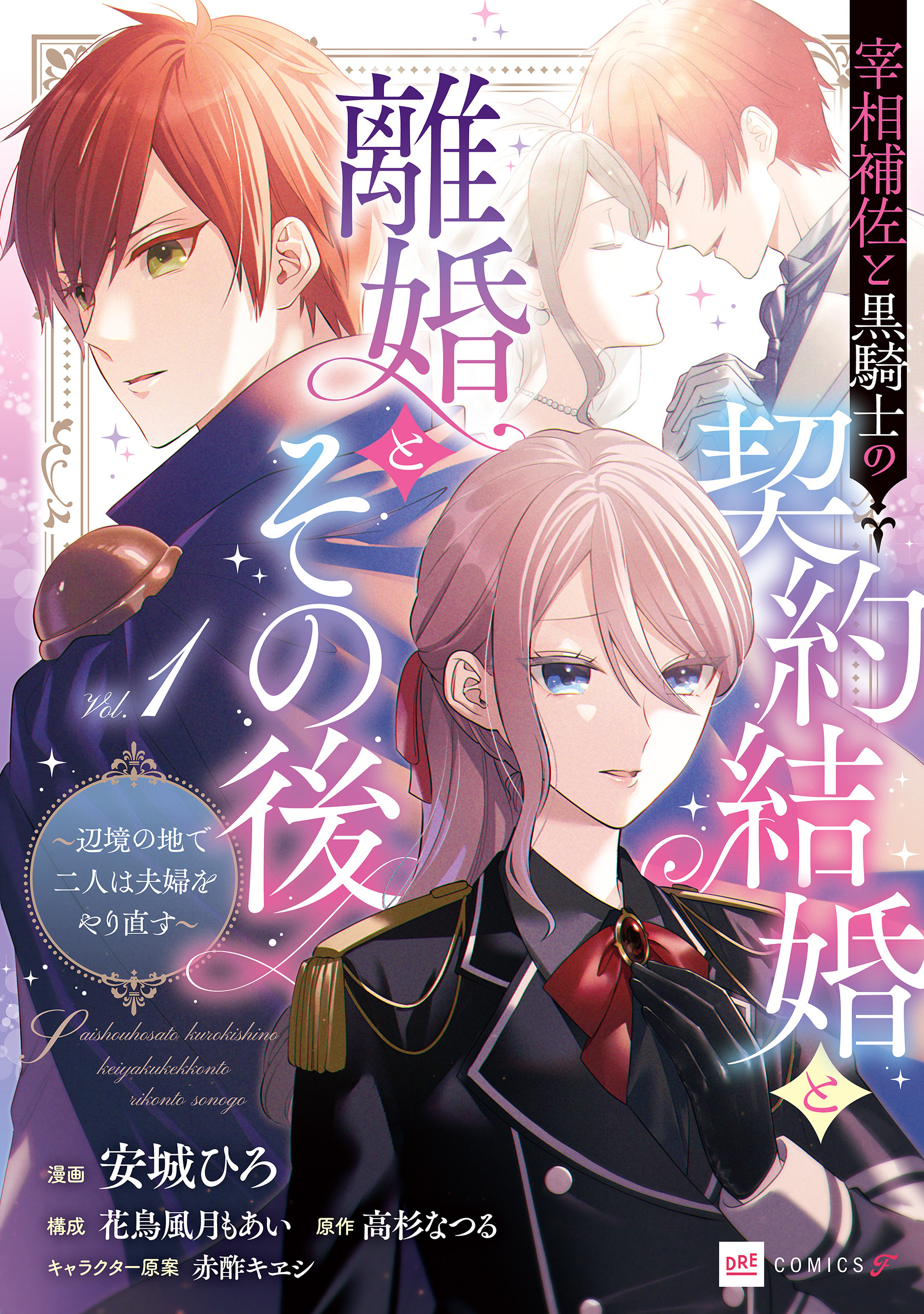 宰相補佐と黒騎士の契約結婚と離婚とその後