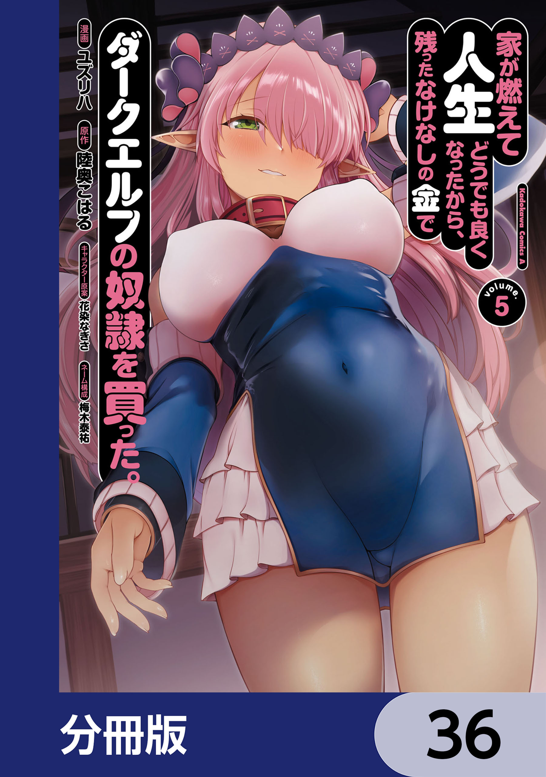 家が燃えて人生どうでも良くなったから、残ったなけなしの金でダークエルフの奴隷を買った。【分冊版】　36