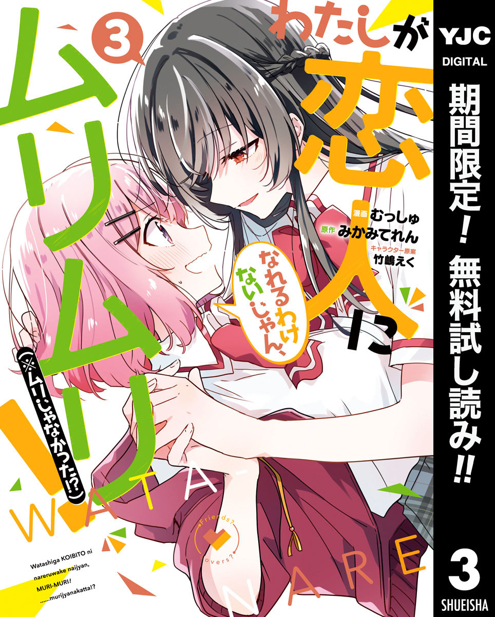 わたしが恋人になれるわけないじゃん、ムリムリ！（※ムリじゃなかった！？）【期間限定無料】 3