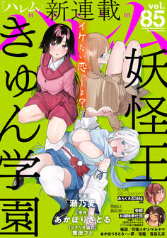 ハレム vol.85