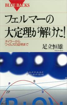 フェルマーの大定理が解けた! オイラーからワイルズの証明まで