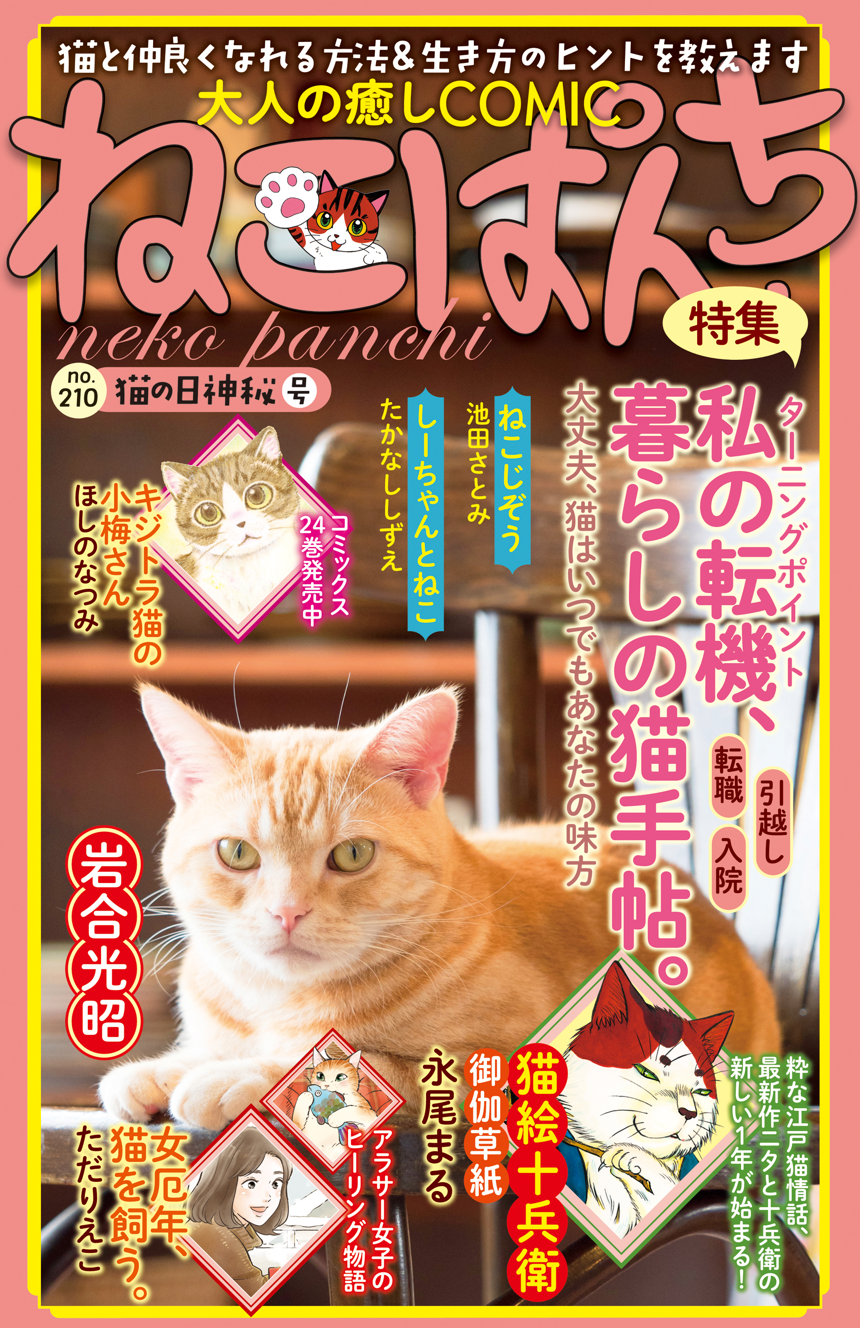 ねこぱんち ８（カツオブシ号）/少年画報社 - その他