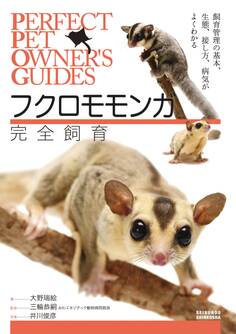 フクロモモンガ完全飼育