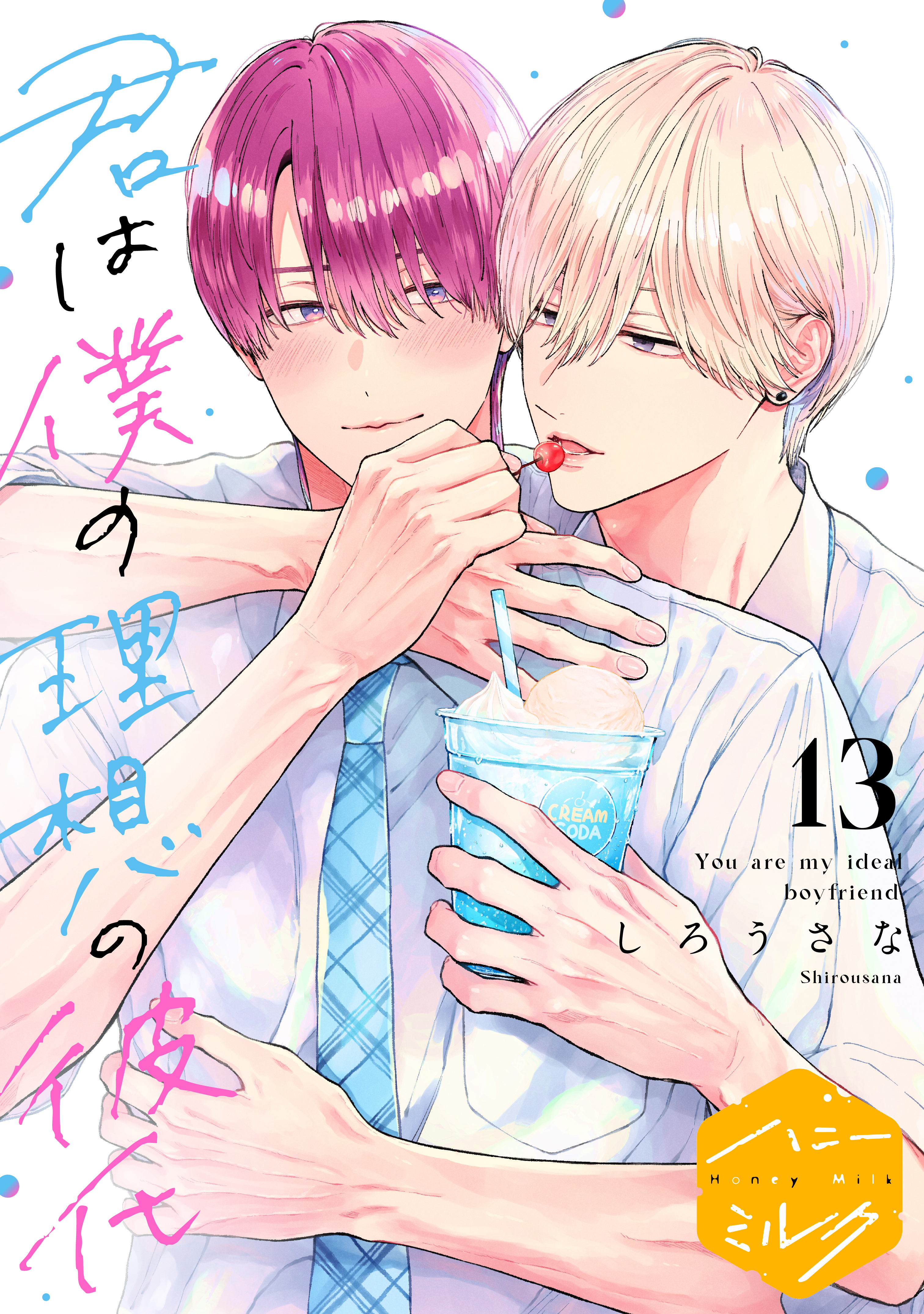 君は僕の理想の彼氏　分冊版（13）