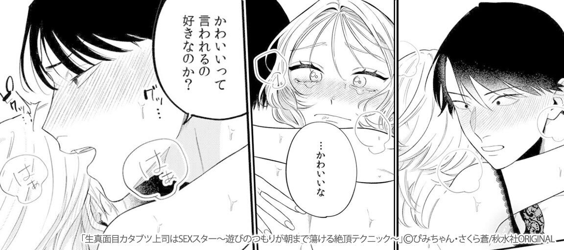 エンタメホビー生真面目カタブツ上司はＳＥＸスター 遊びのつもりが朝 ...