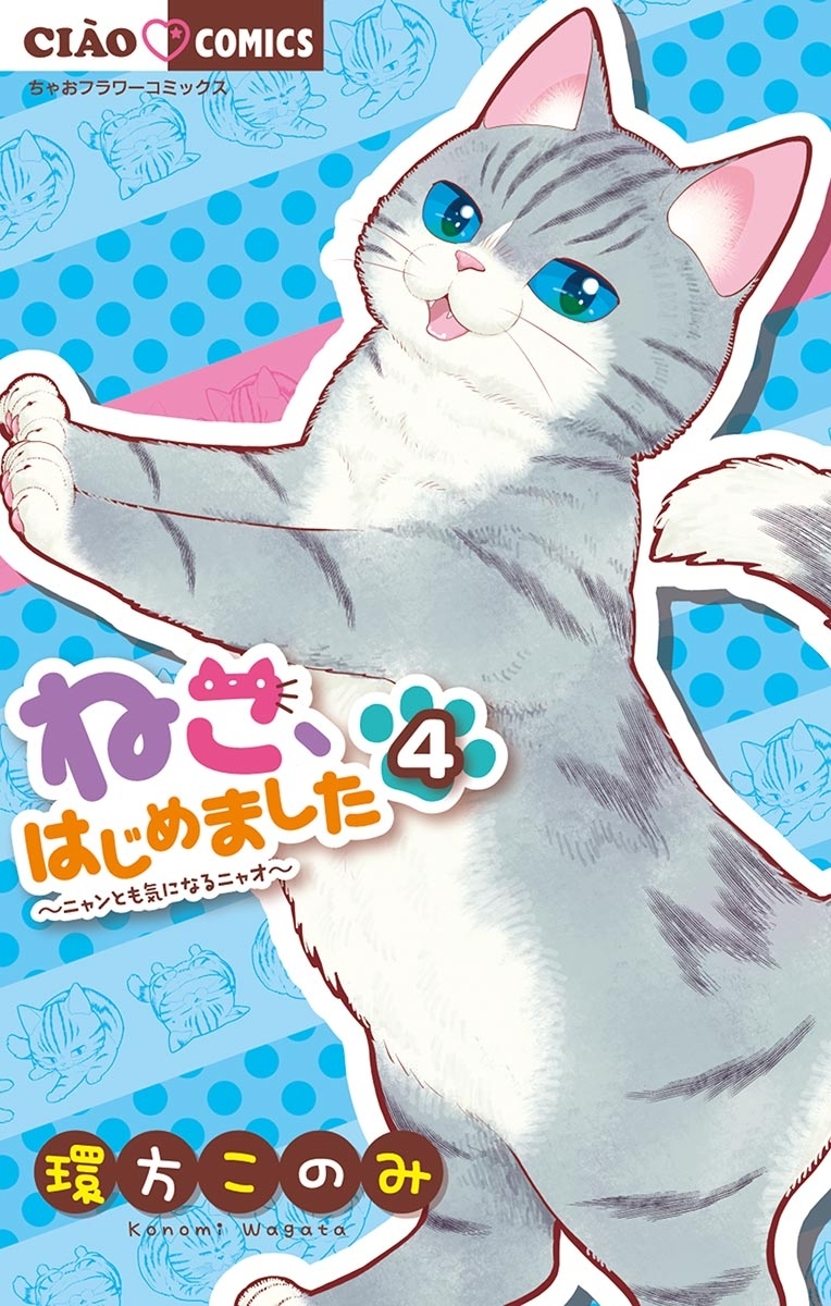 ねこ、はじめました　4