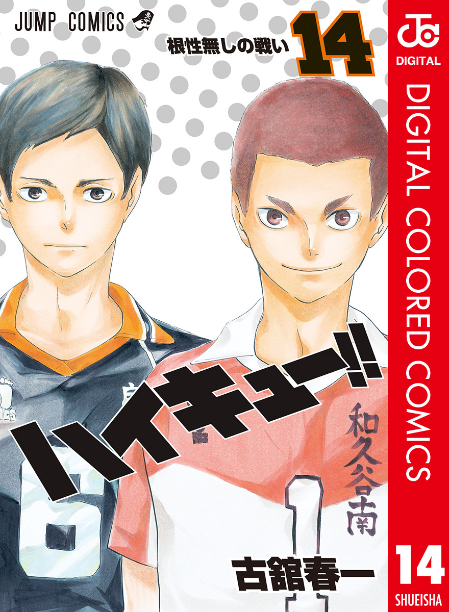 ハイキュー！！ カラー版 14