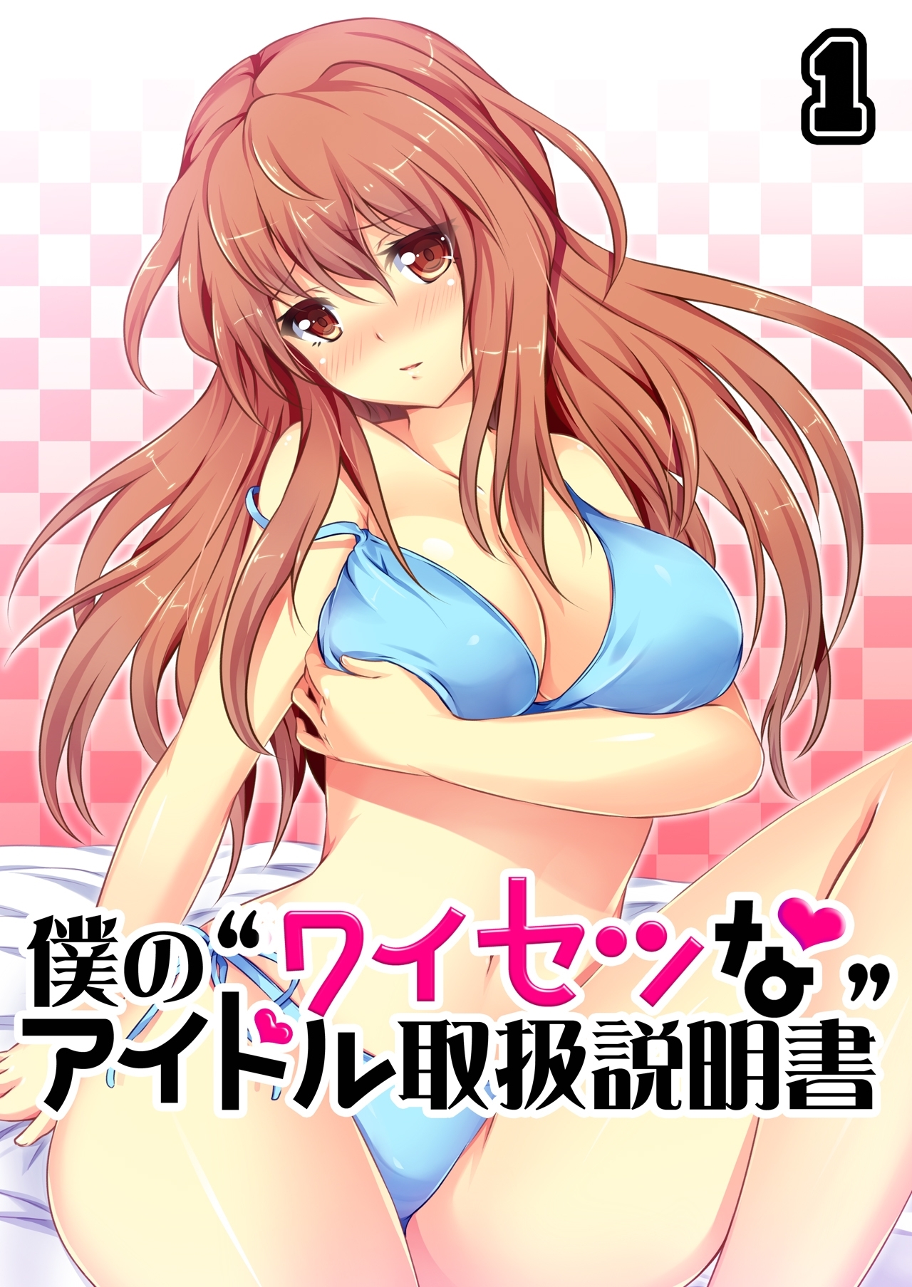 僕の“ワイセツな”アイドル取扱説明書（1）