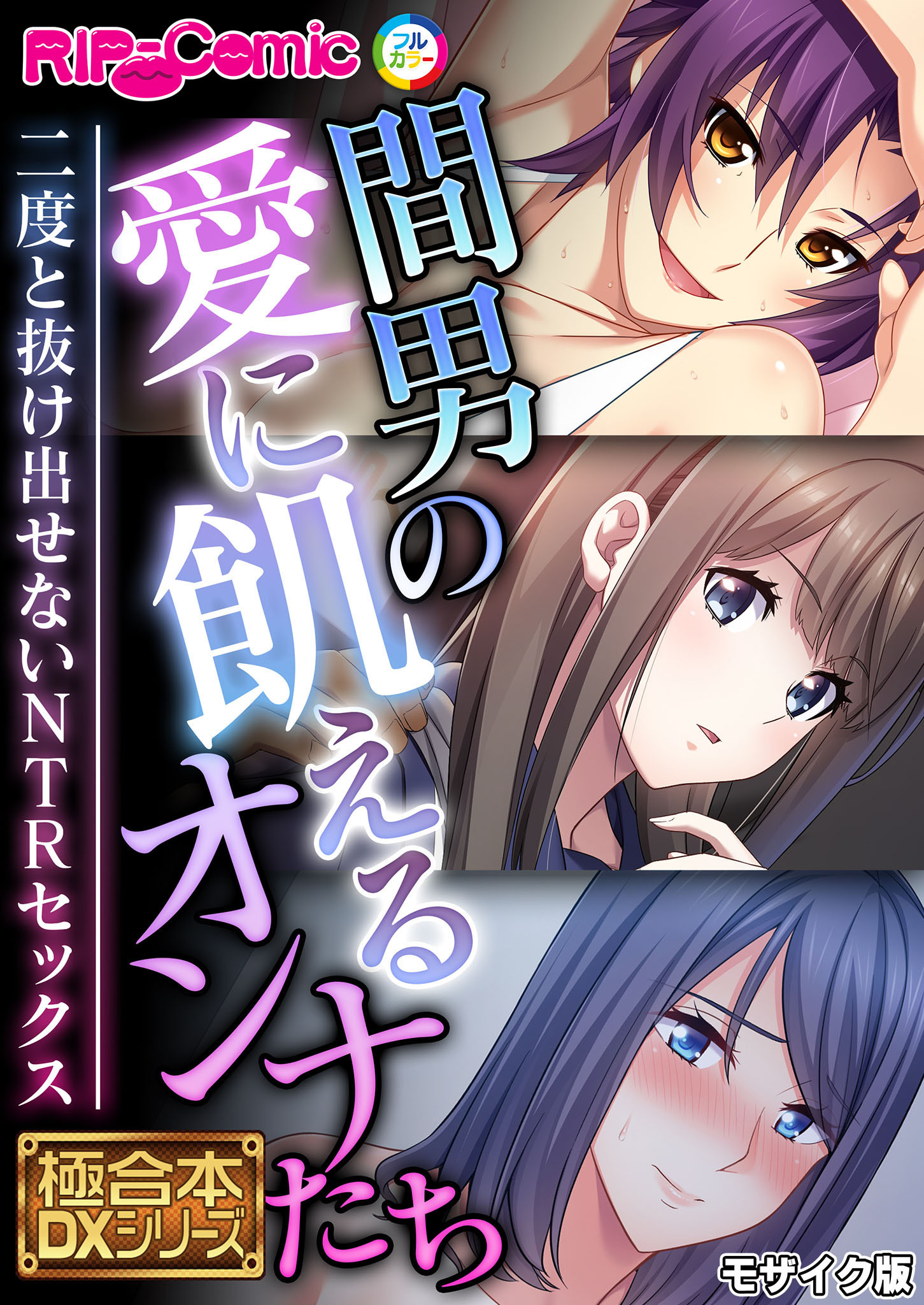 間男の愛に飢えるオンナたち ～二度と抜け出せないNTRセックス～【極合本DXシリーズ】 モザイク版