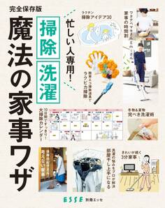 忙しい人専用! 掃除 洗濯 魔法の家事ワザ