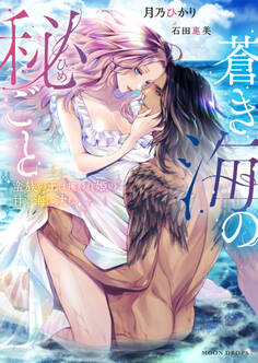 蒼き海の秘ごと~蛮族の王は攫われ姫の甘い海に沈む