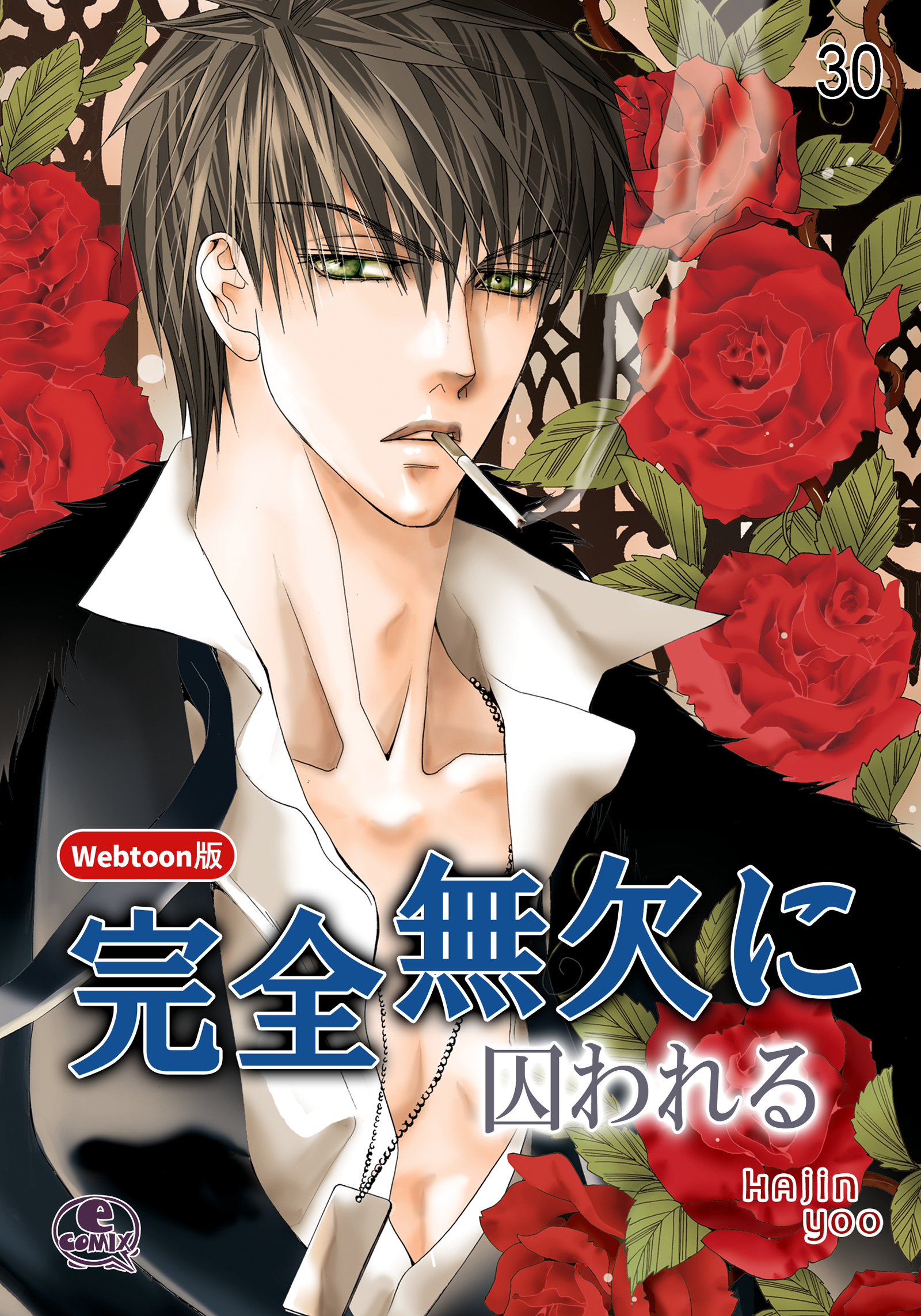 完全無欠に囚われる 30