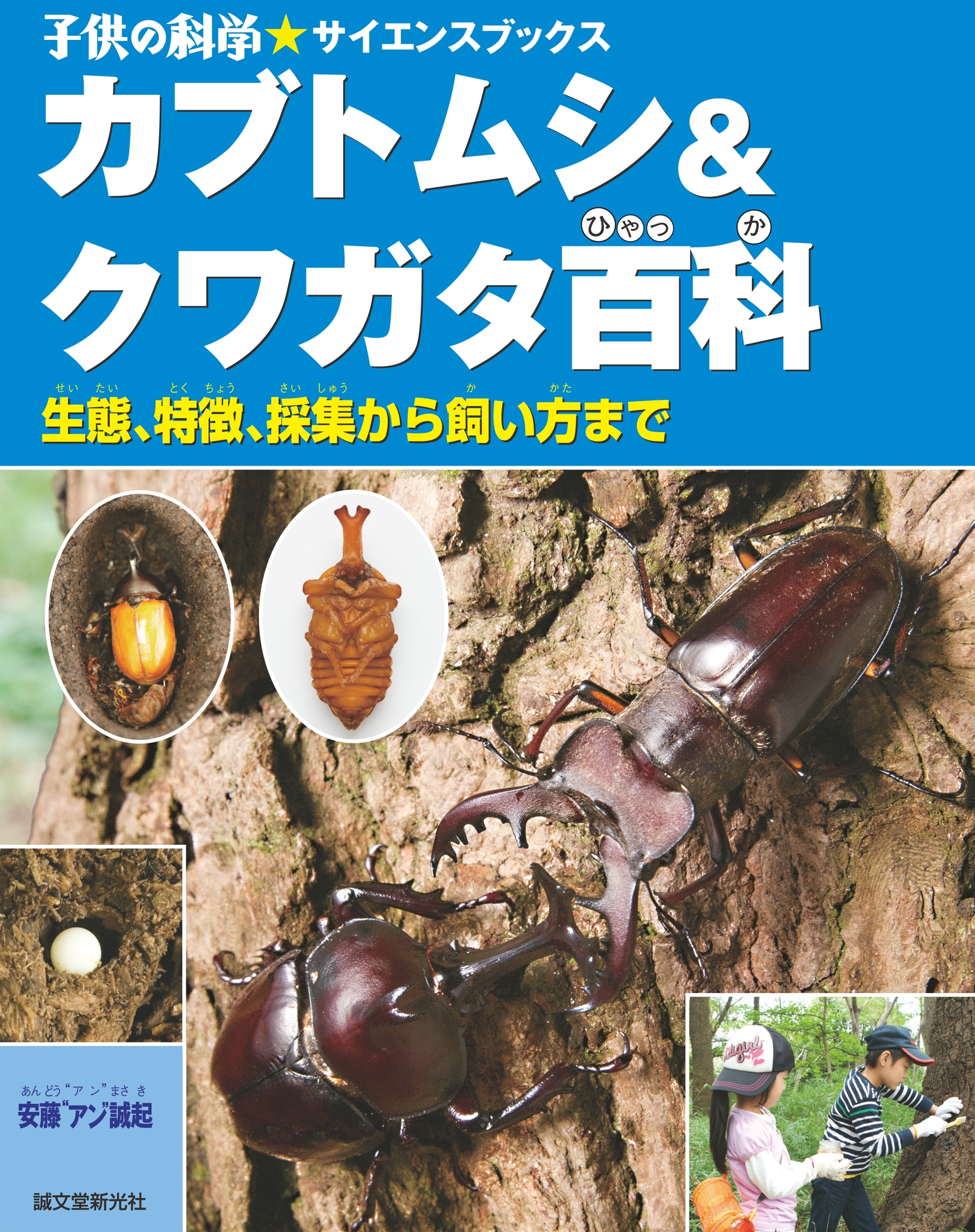 カブトムシ＆クワガタ百科