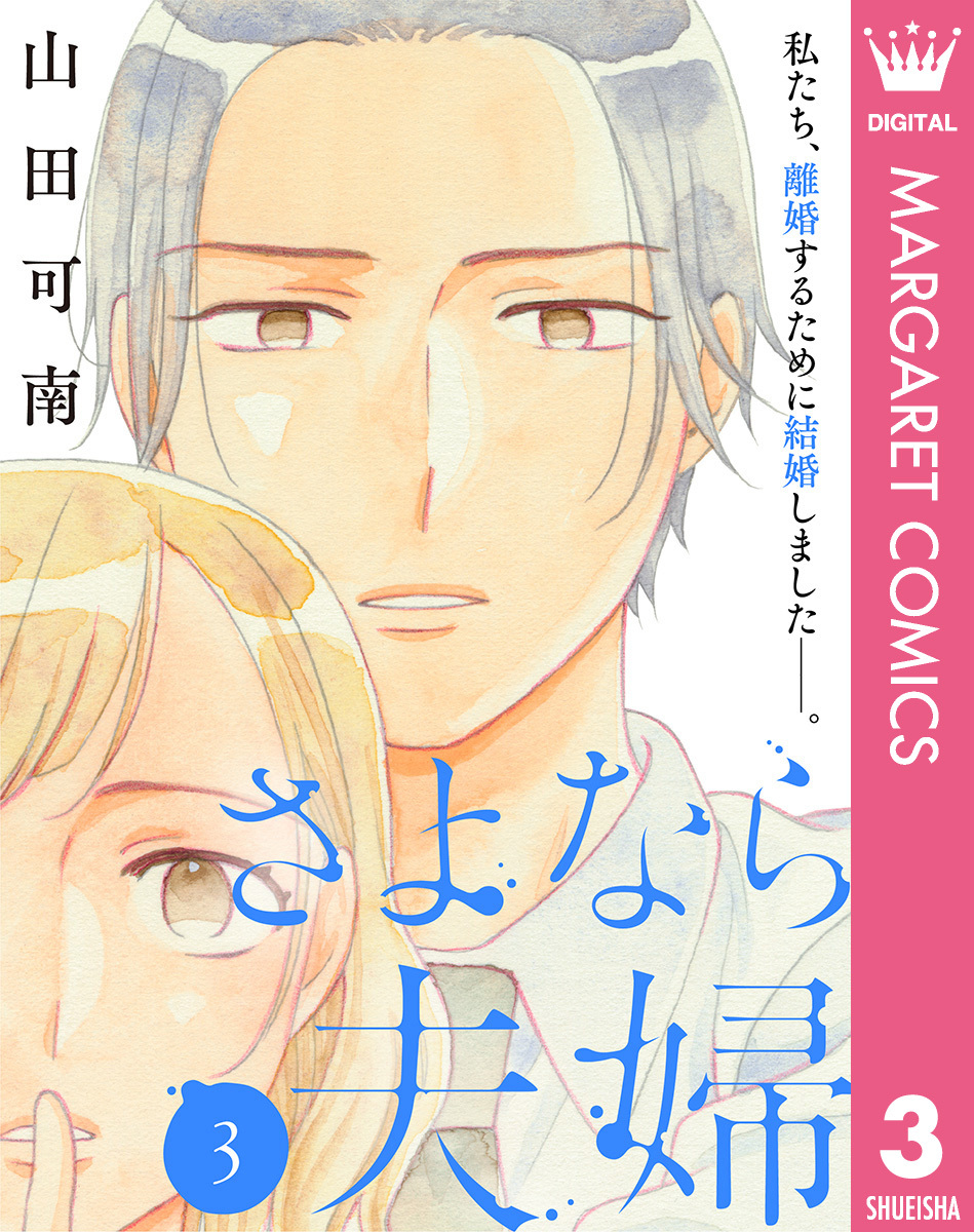 さよなら夫婦 3