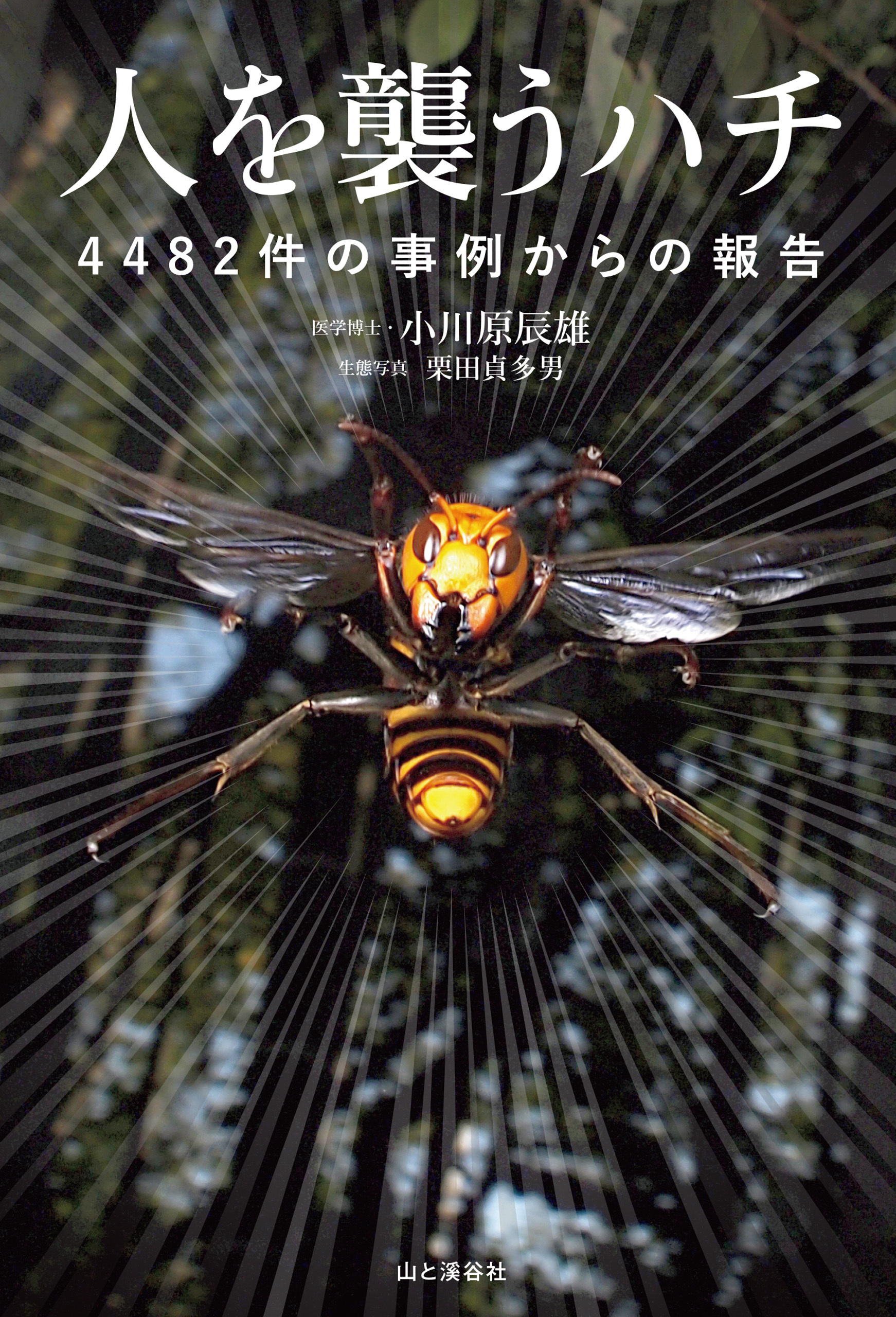 人を襲うハチ 4482件の事例からの報告