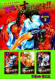 陣内流柔術武闘伝　真島クンすっとばす！！　超合本版3