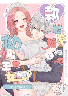 あの日の魔法を-執着系婚約者と拗らせ王女-3