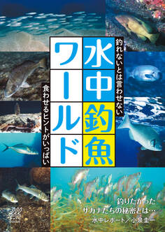 水中釣魚ワールド