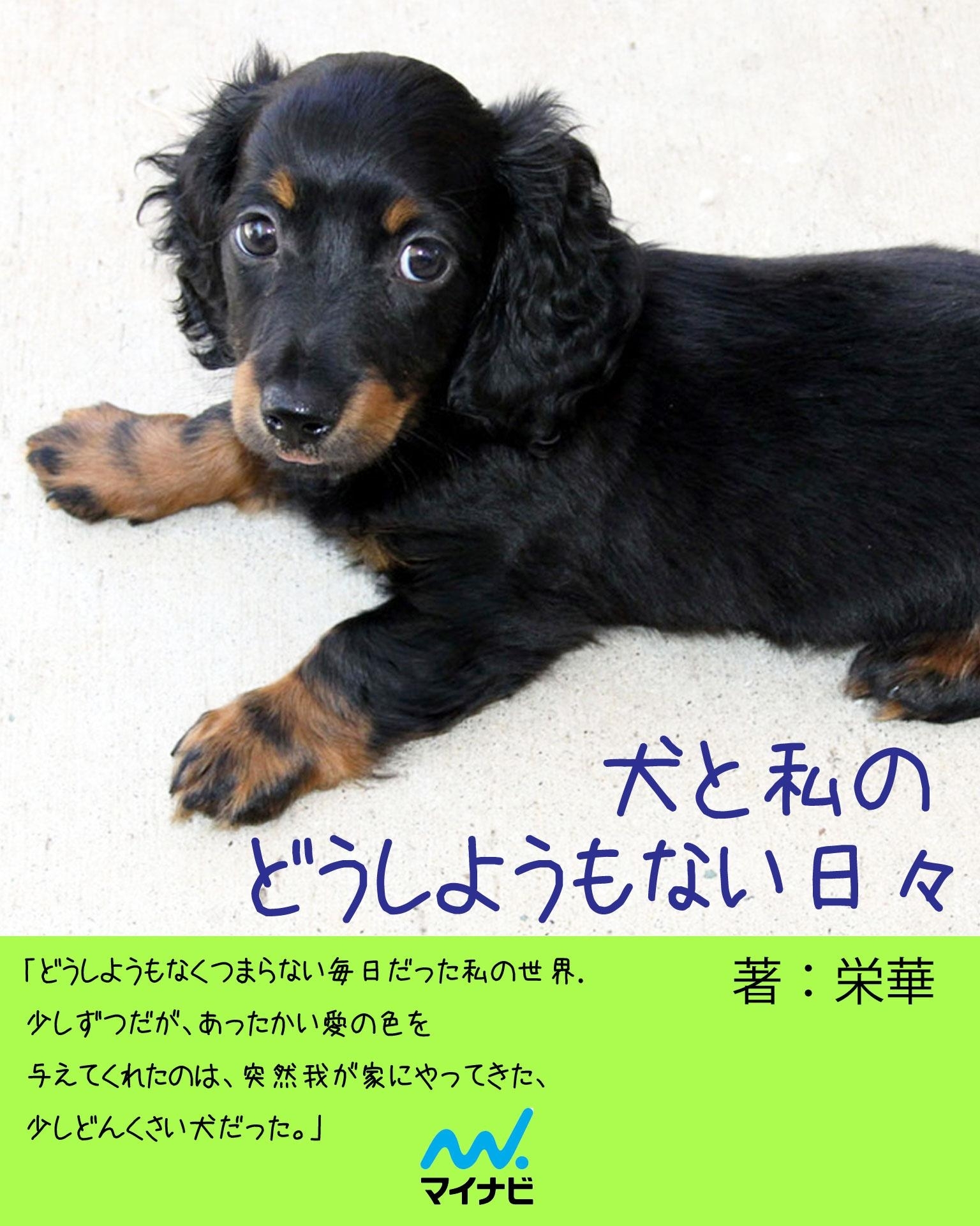 犬と私のどうしようもない日々