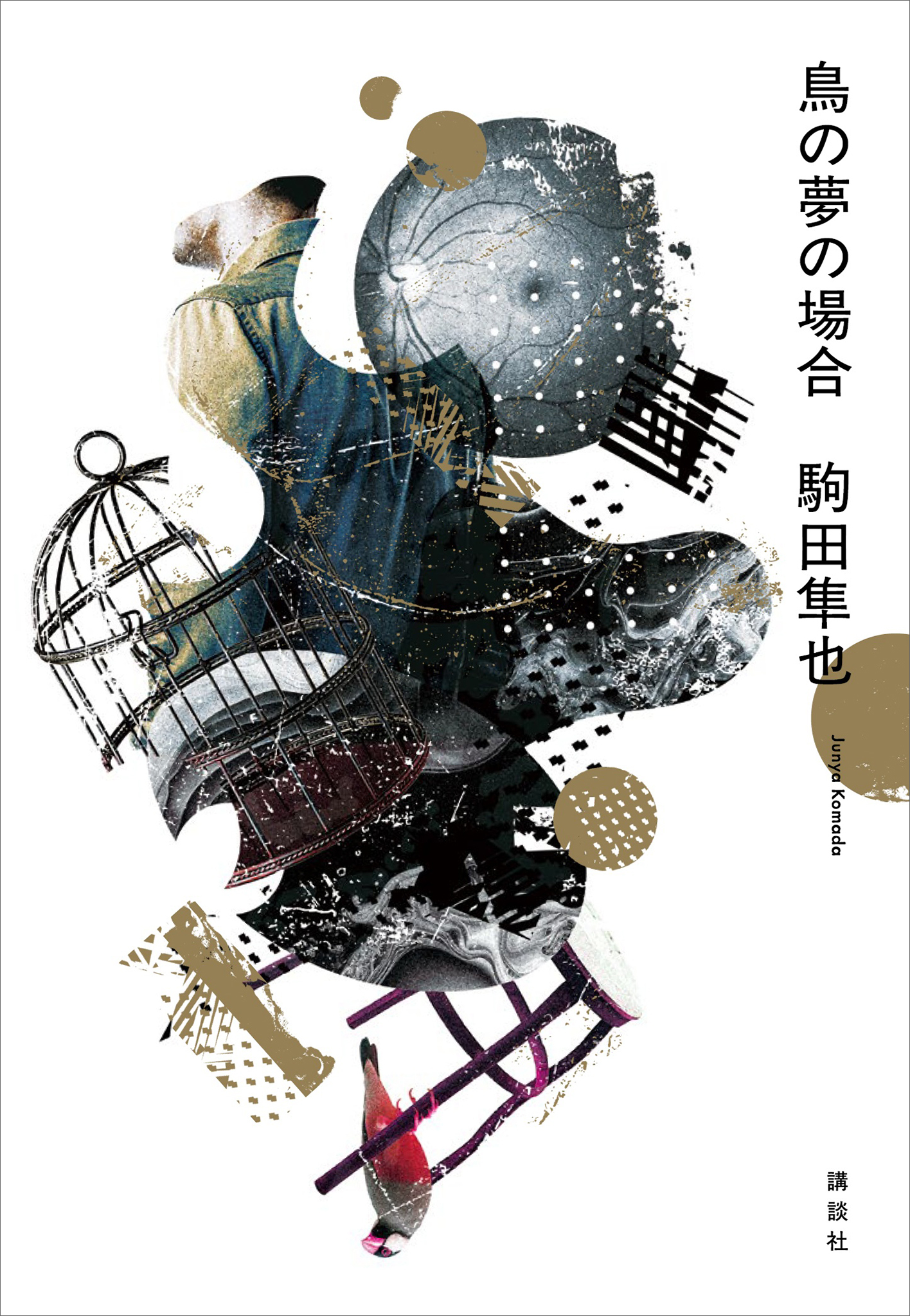鳥の夢の場合