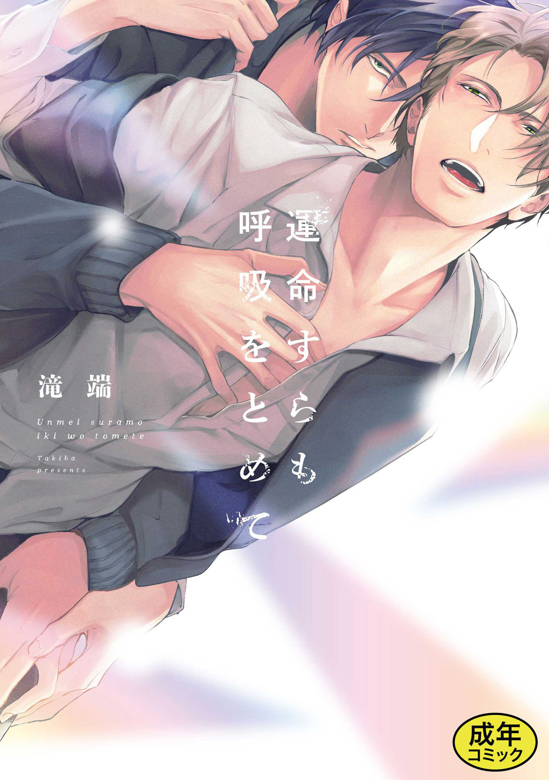 【成人向特典付き】運命すらも呼吸をとめて 特別版