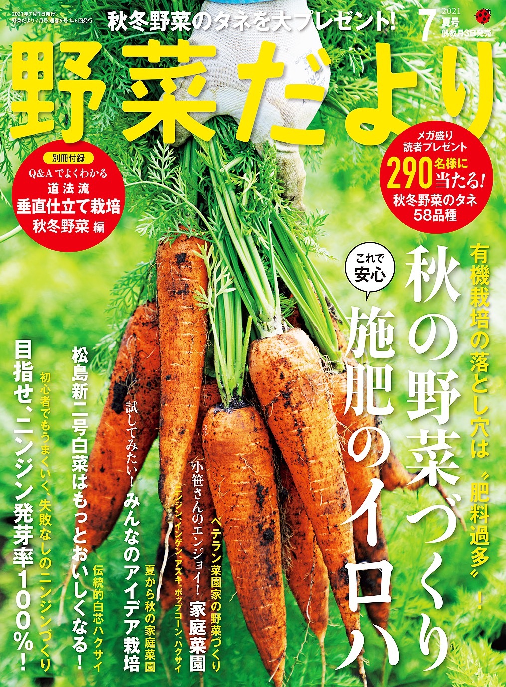 野菜だより2021年7月号