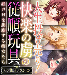 人生投げ売り!快楽の虜の従順玩具 ~躾けHを懇願する痴女たち~【CG集コレクション】