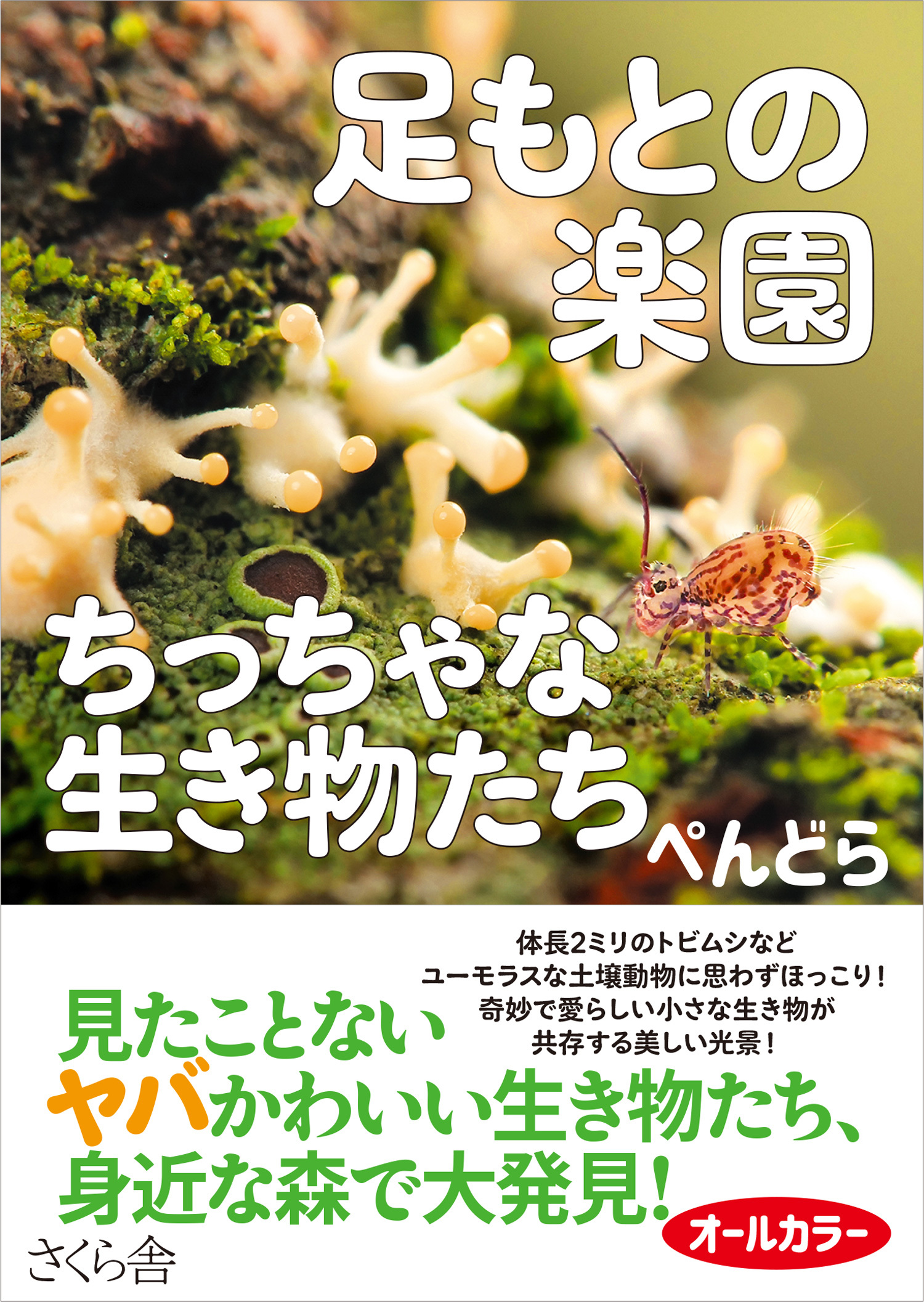 足もとの楽園　ちっちゃな生き物たち