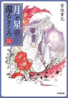 月と星の還るところ 紫微国妖夜話