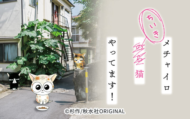 メチャイロちいき猫やってます！【分冊版】