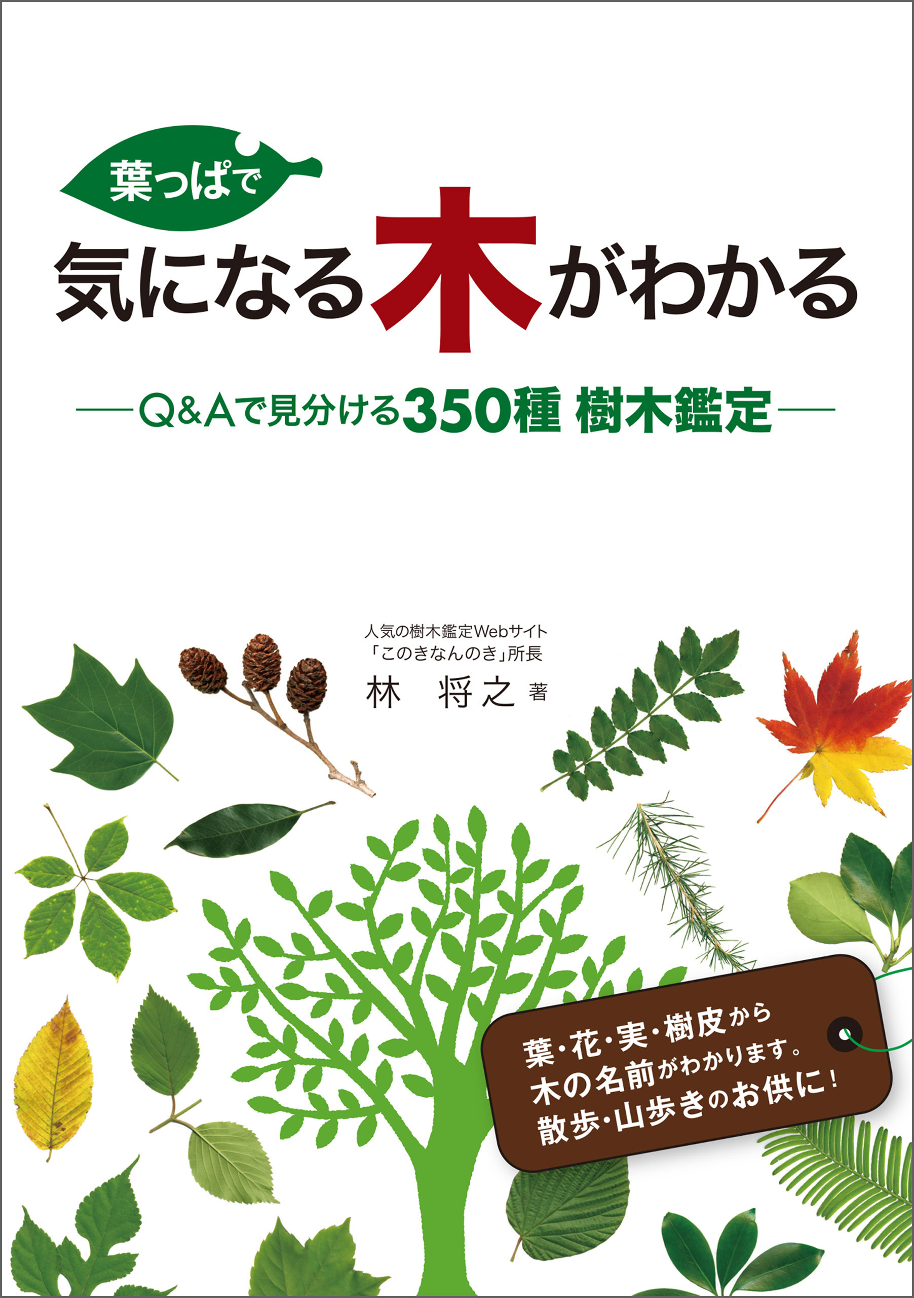 葉っぱで気になる木がわかる