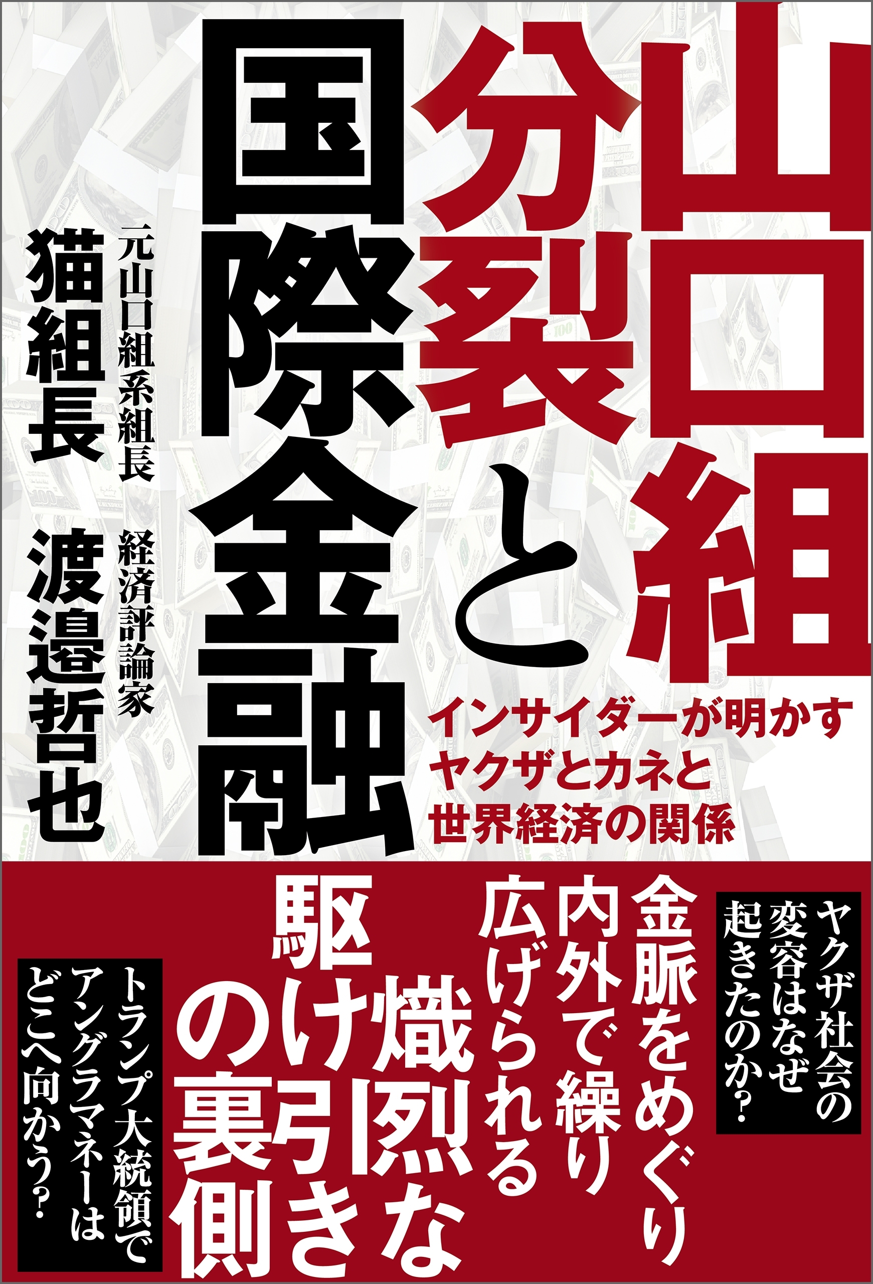 山口組分裂と国際金融　インサイダーが明かすヤクザとカネと世界経済の関係