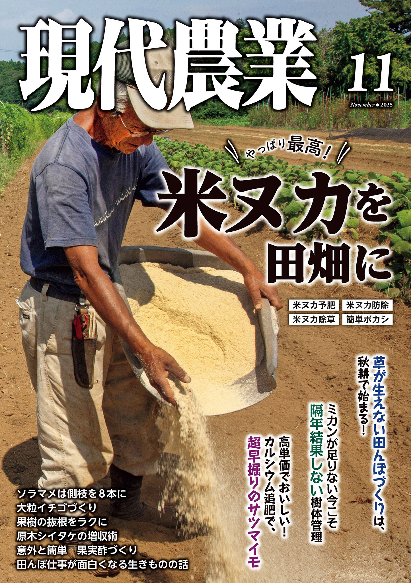 現代農業2025年11月号