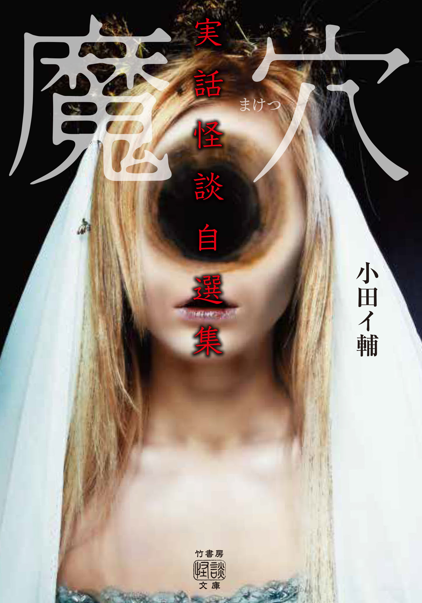 小田イ輔 実話怪談自選集　魔穴