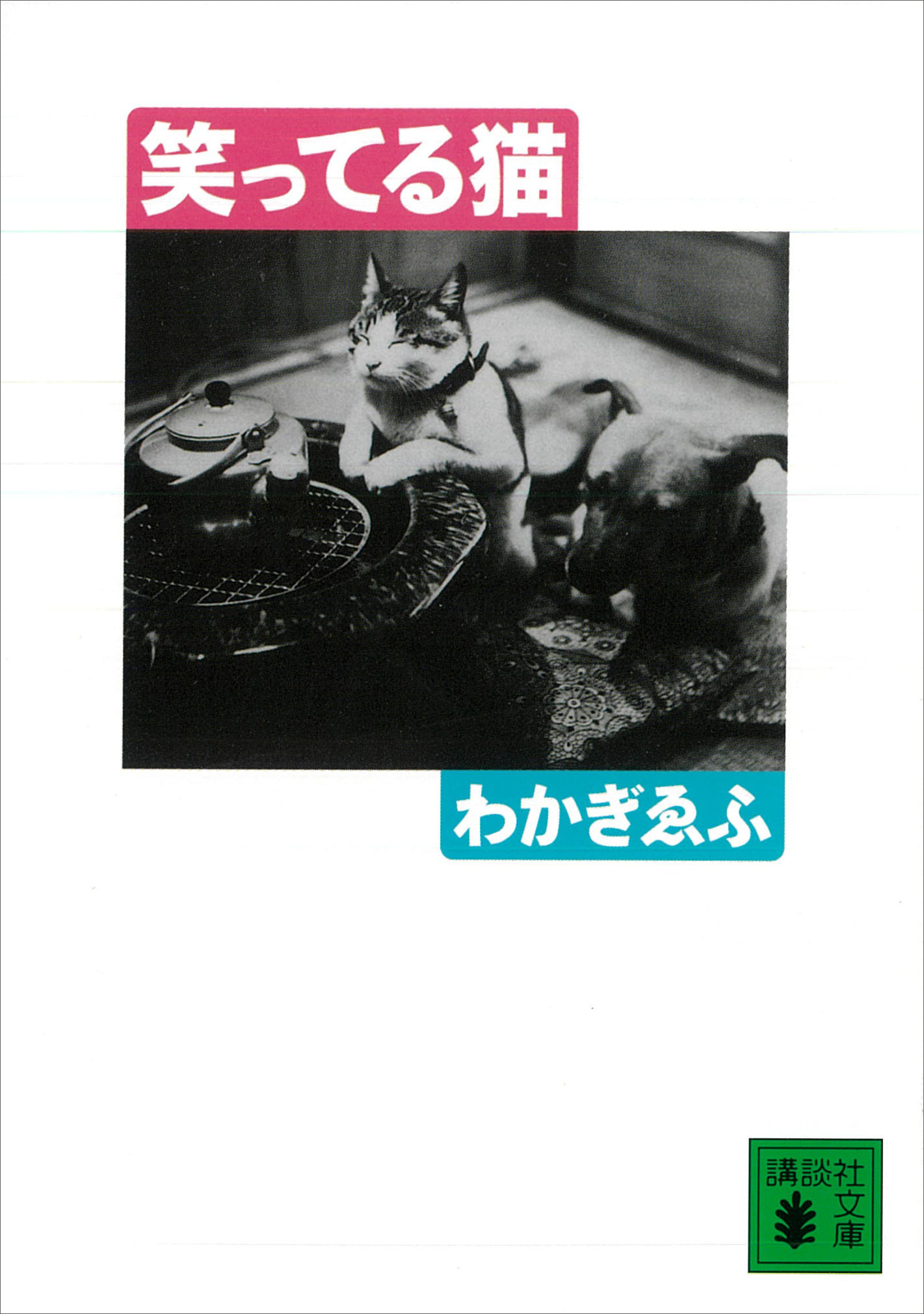 笑ってる猫