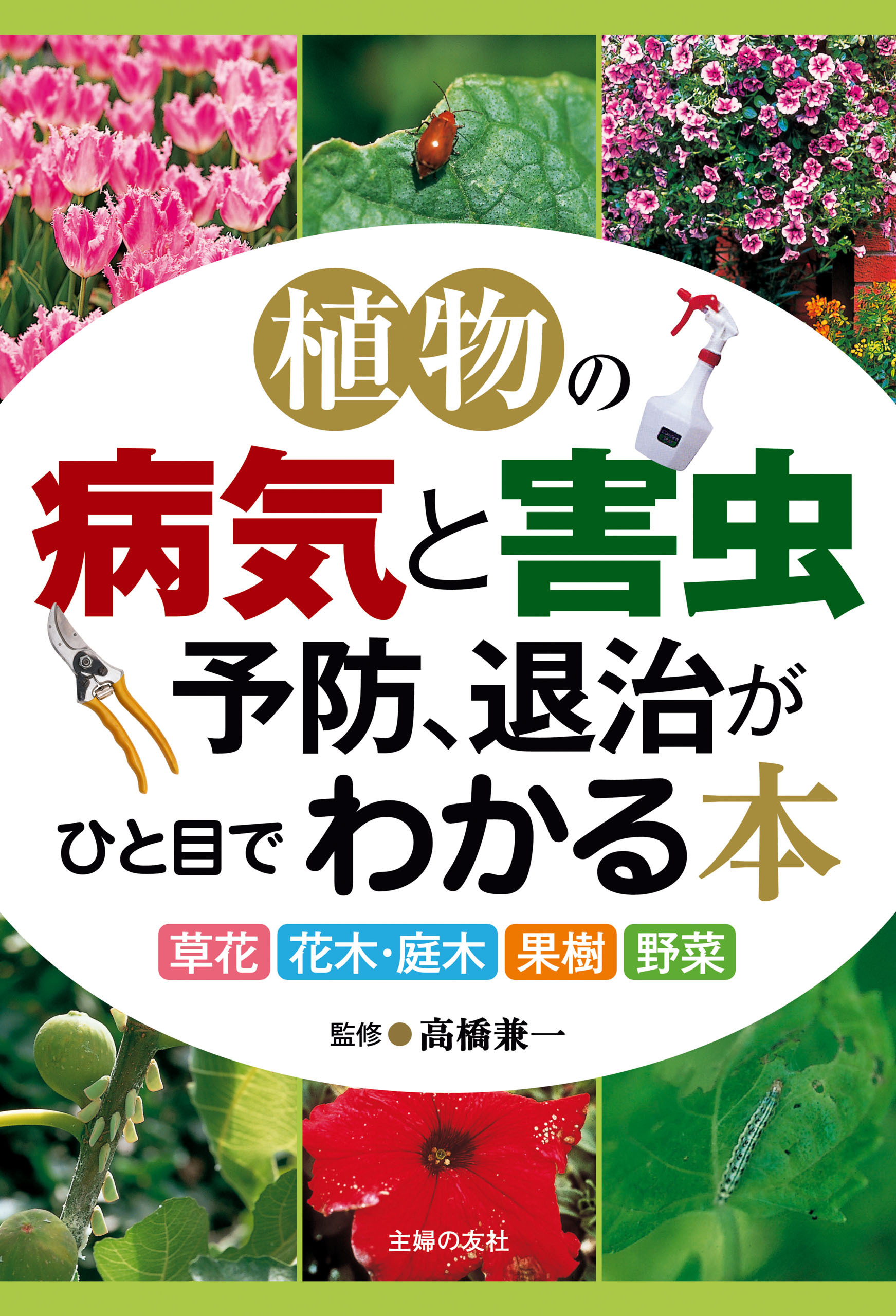 植物の病気と害虫予防、退治がひと目でわかる本