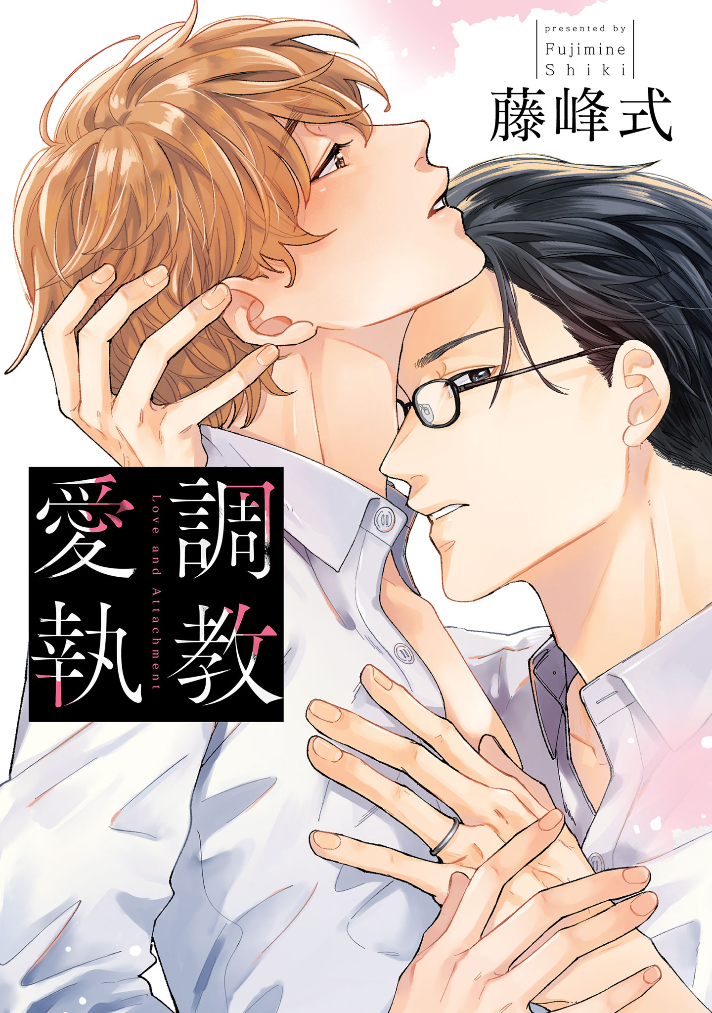 調教愛執【電子限定描き下ろし付き】