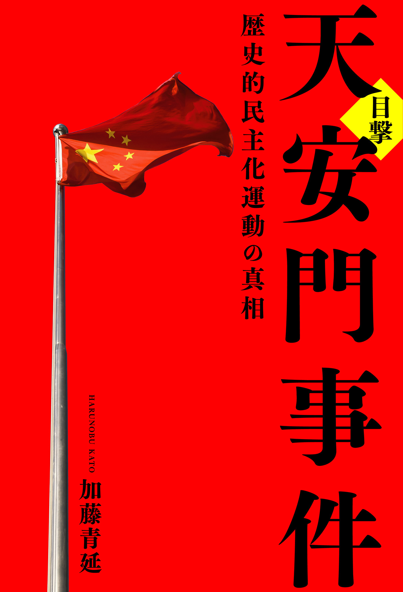 目撃 天安門事件