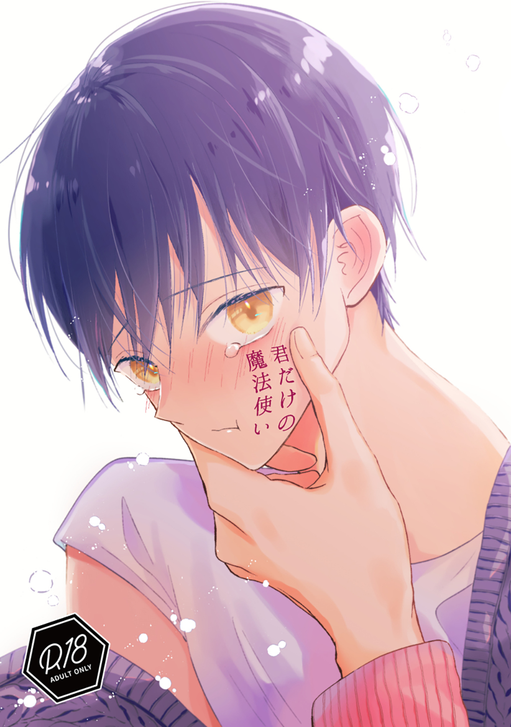 君だけの魔法使い