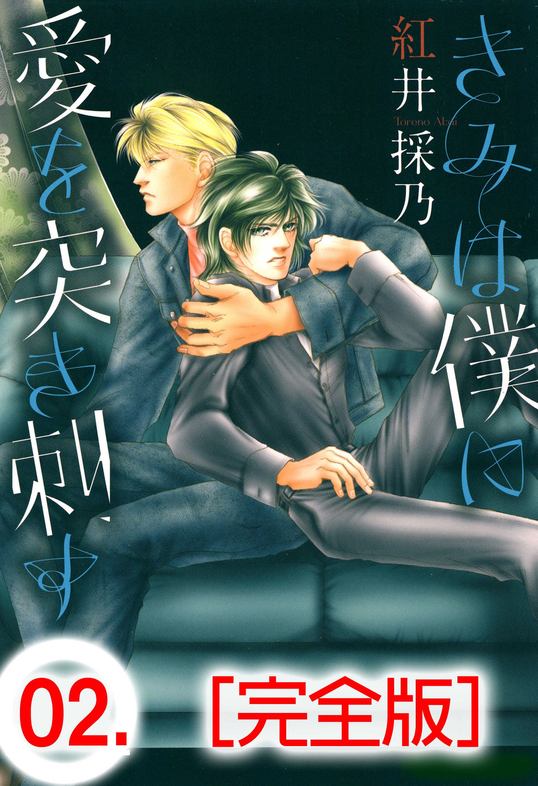 きみは僕に愛を突き刺す【完全版】　2