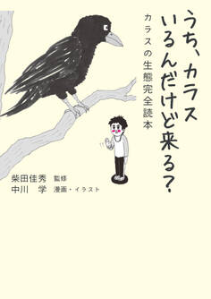 うち、カラスいるんだけど来る? カラスの生態完全読本