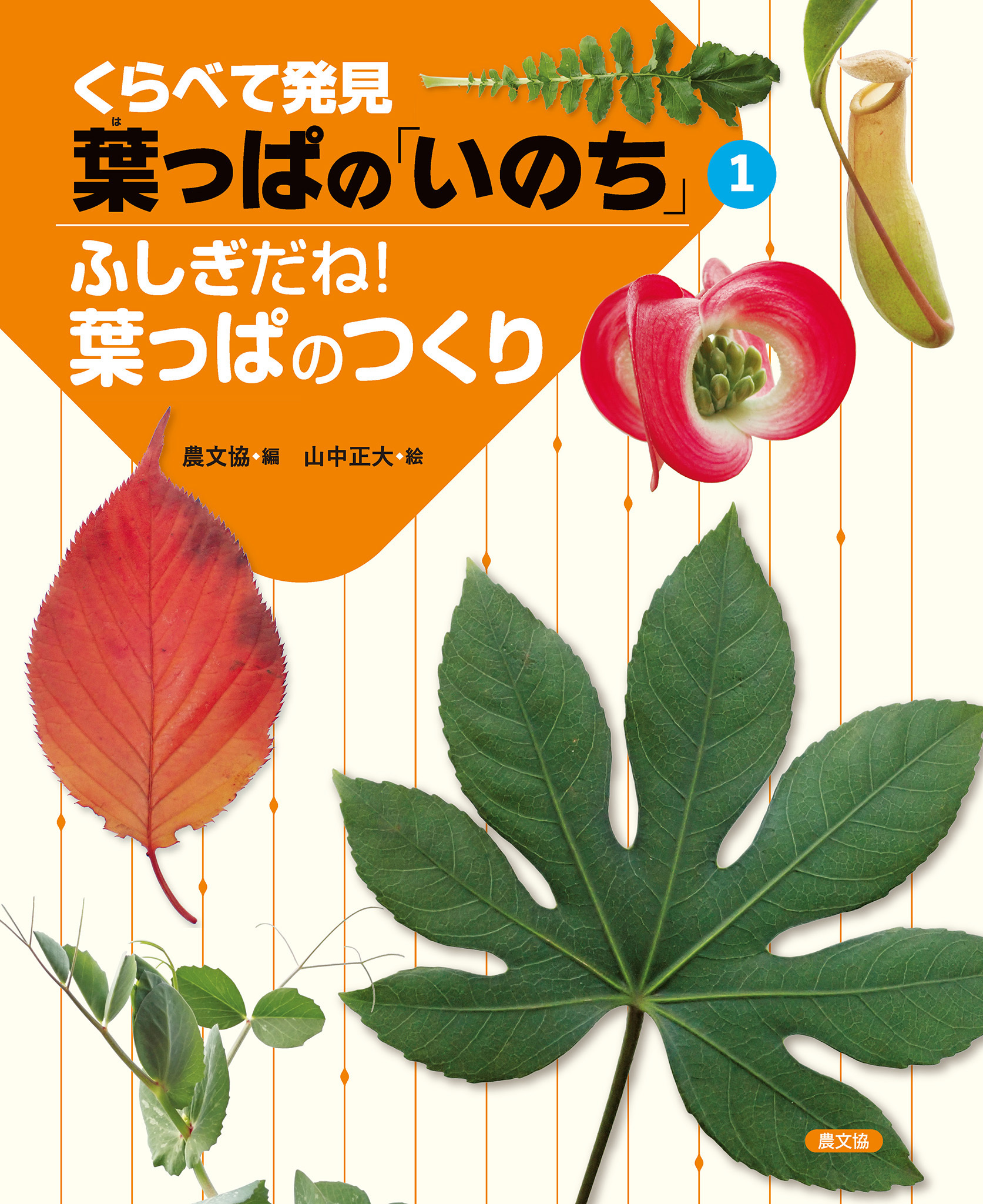 ふしぎだね！葉っぱのつくり